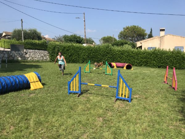 Stage Agility