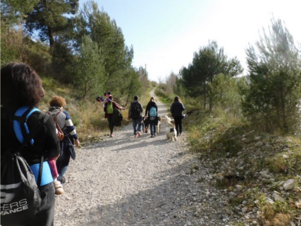 Promenade détente au Broc