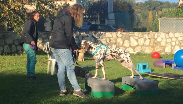 Stage Fitness, Proprioception, Coopération et Renforcement