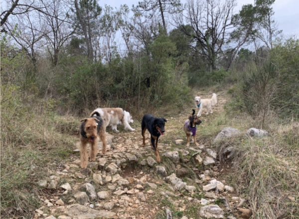 Promenade détente au Col de Vence