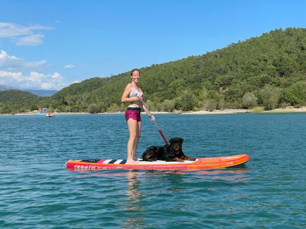Atelier chien à l'eau