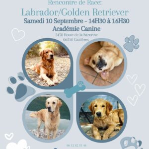 Soutien aux associations lors de notre rencontre de Labrador / Golden