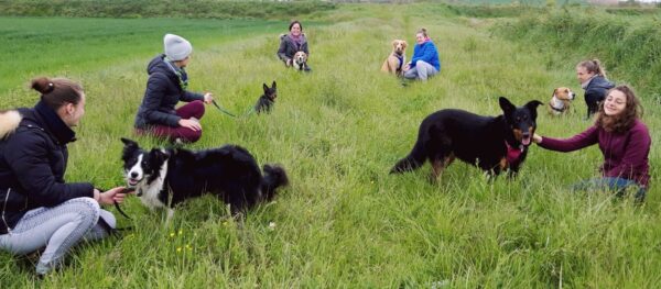 Stage reconnexion à soi et à son chien