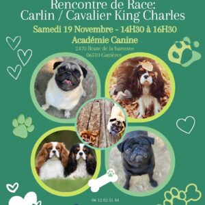 Soutien aux associations lors de notre rencontre de carlin et cavalier king charles