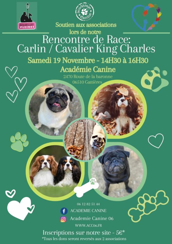 Soutien aux associations lors de notre rencontre de carlin et cavalier king charles