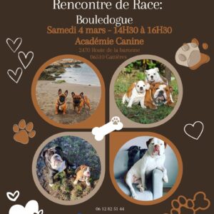 Soutien aux associations lors de notre rencontre de Bouledogue