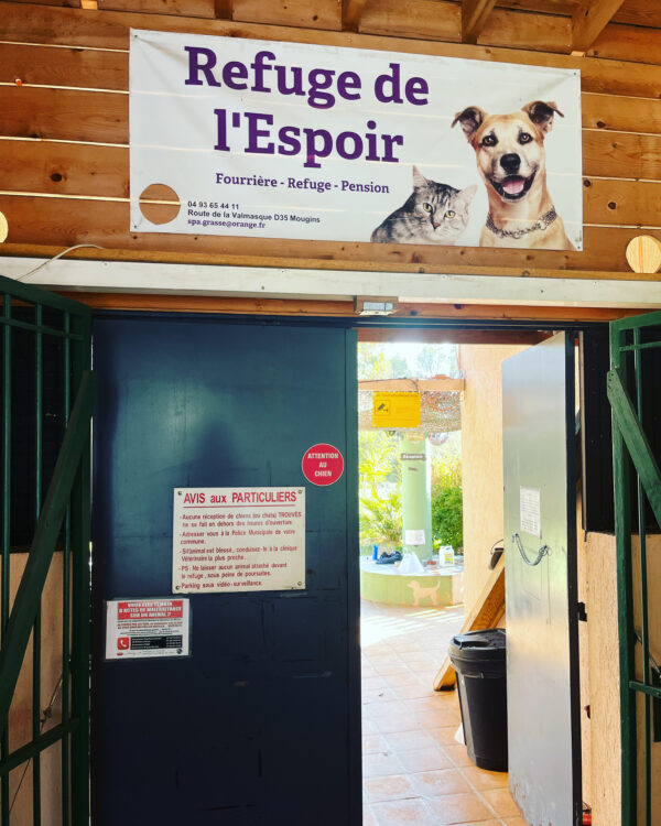 Collecte pour les entraînements pour les chiens du refuge de l'espoir